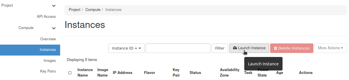 Launch Instance button in Horizon