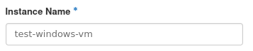 Enter the Windows VM instance name