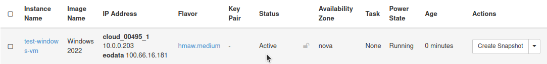 Windows VM in Active status
