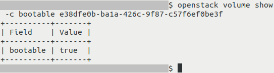 ../_images/ecis_bootable-versus-nonbootable-volume-07.png