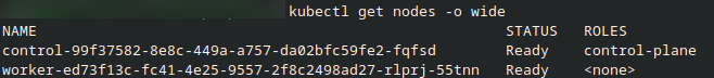../_images/ecis_kubectl_showing_active_pods.png