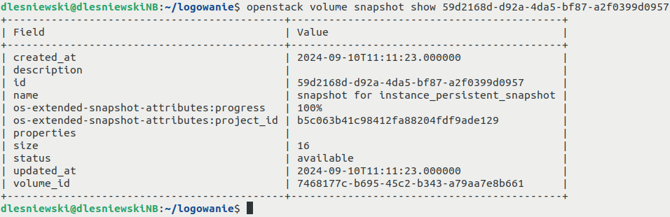 ../../_images/how-to-create-instance-snapshot-cli-19_creodias1.png