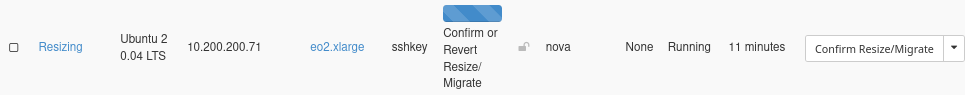 ../../_images/resize-vm-horizon-81.png