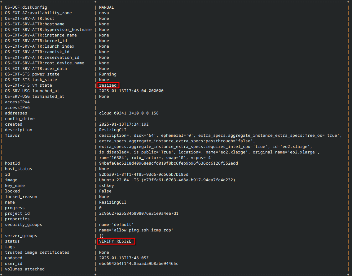 ../../_images/resize-vm-horizon-cli-41.png
