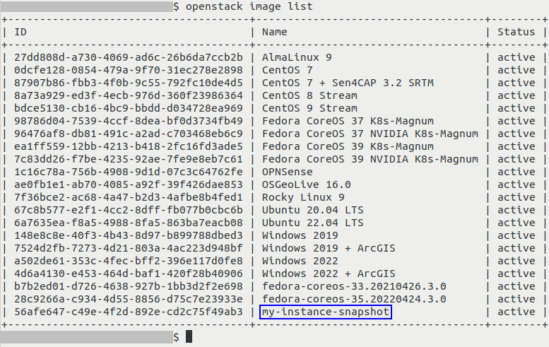../../_images/start_vm_instance_snapshot_cli-01_creodias1.png