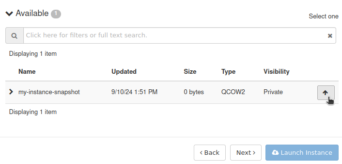 ../../_images/start_vm_instance_snapshot_horizon-03_creodias1.png