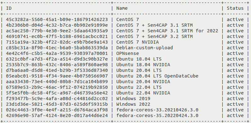 ../../_images/upload-image-cli-03_creodias1.png