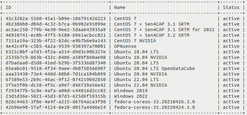 ../../_images/upload-image-cli-10_creodias1.png