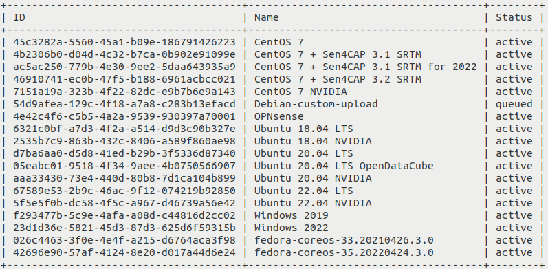../../_images/upload-image-cli-11_creodias1.png