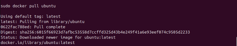 ../../_images/use-docker-51.png